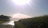 Stockage de l'eau, maïs, sécheresse et climat : l'expertise de Benoît Biteau #Irrigation #Mais #StockageSubstitution